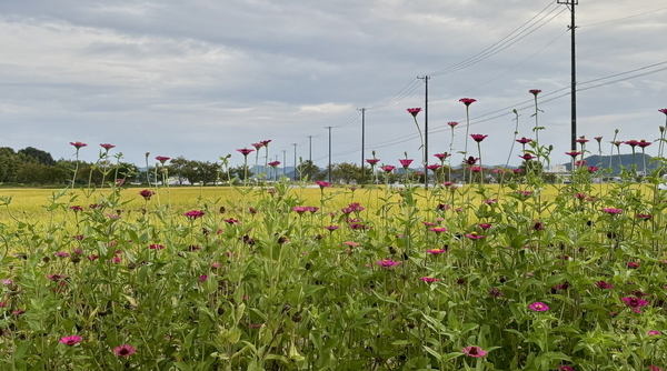 IMG_5638 2_コピー